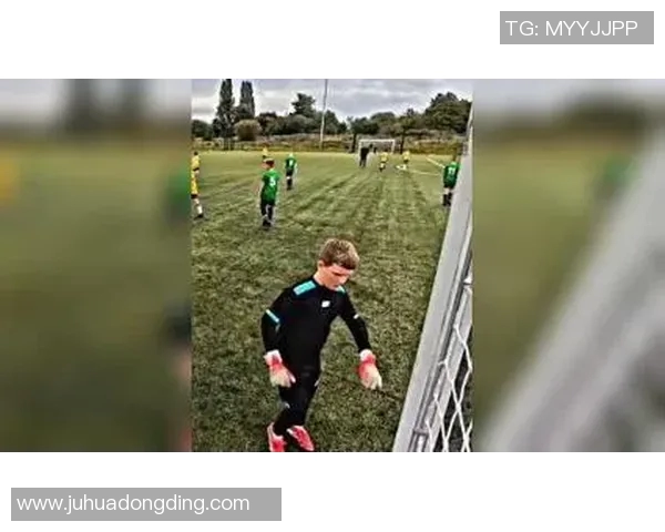 从小球场到世界舞台足球明星的成长之路揭秘