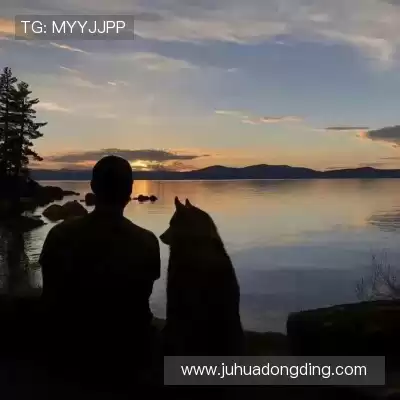 柯骊焰